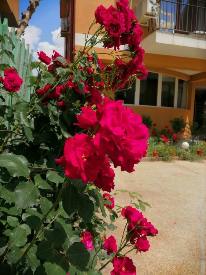 Vilele Liliana Navodari Ngoại thất bức ảnh